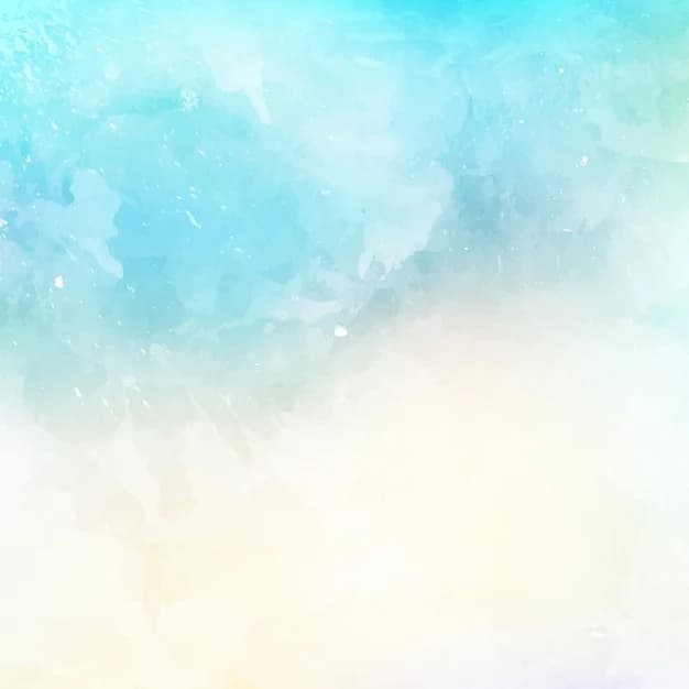 tasman tours background mockup