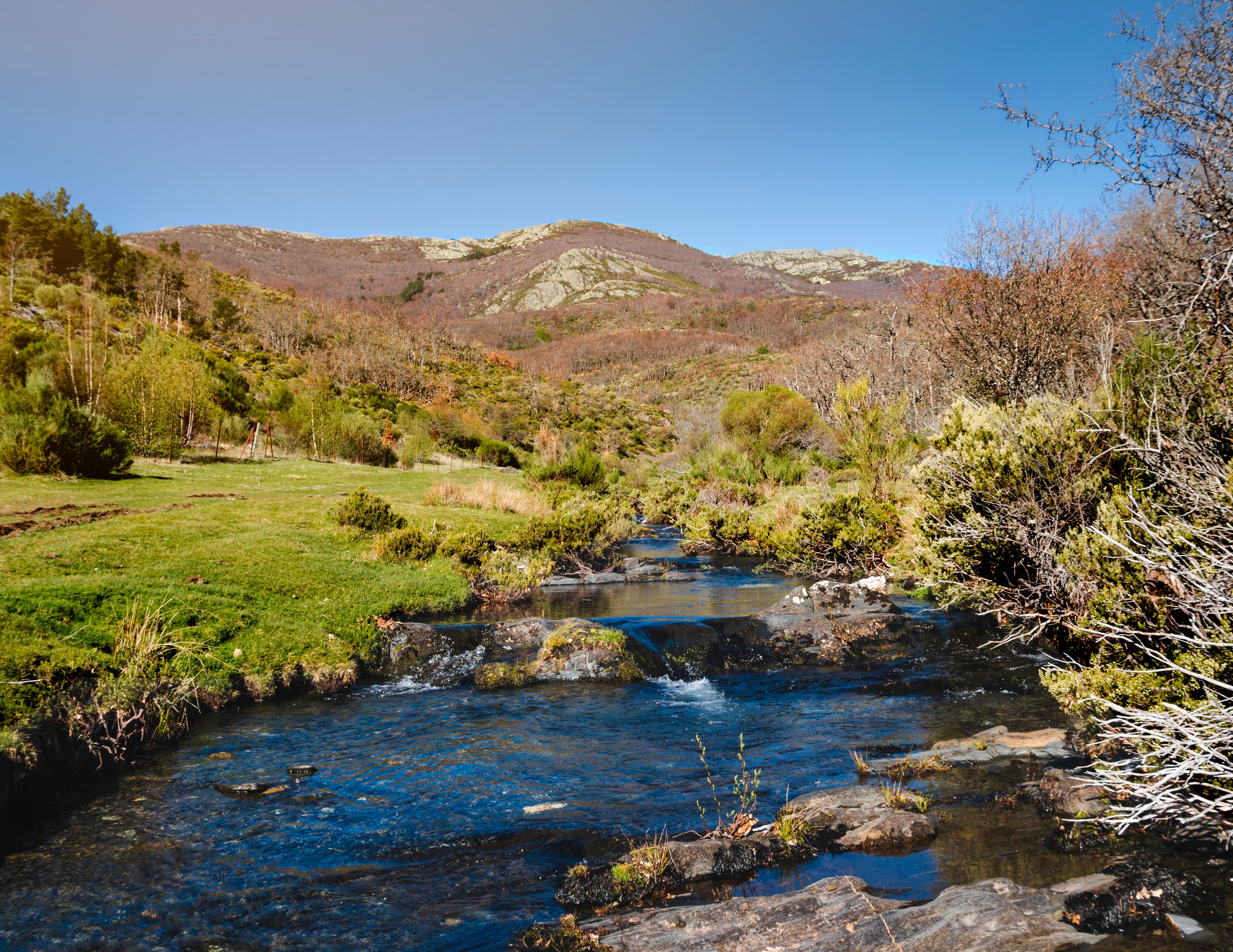 Salmon Ponds