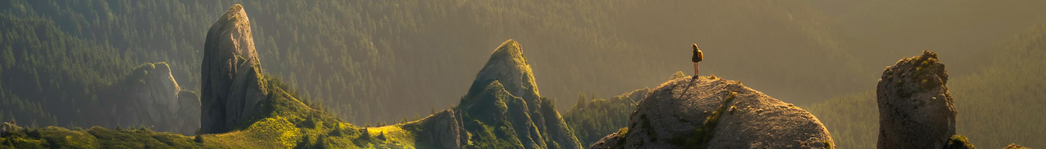Tasman Tours Blogs