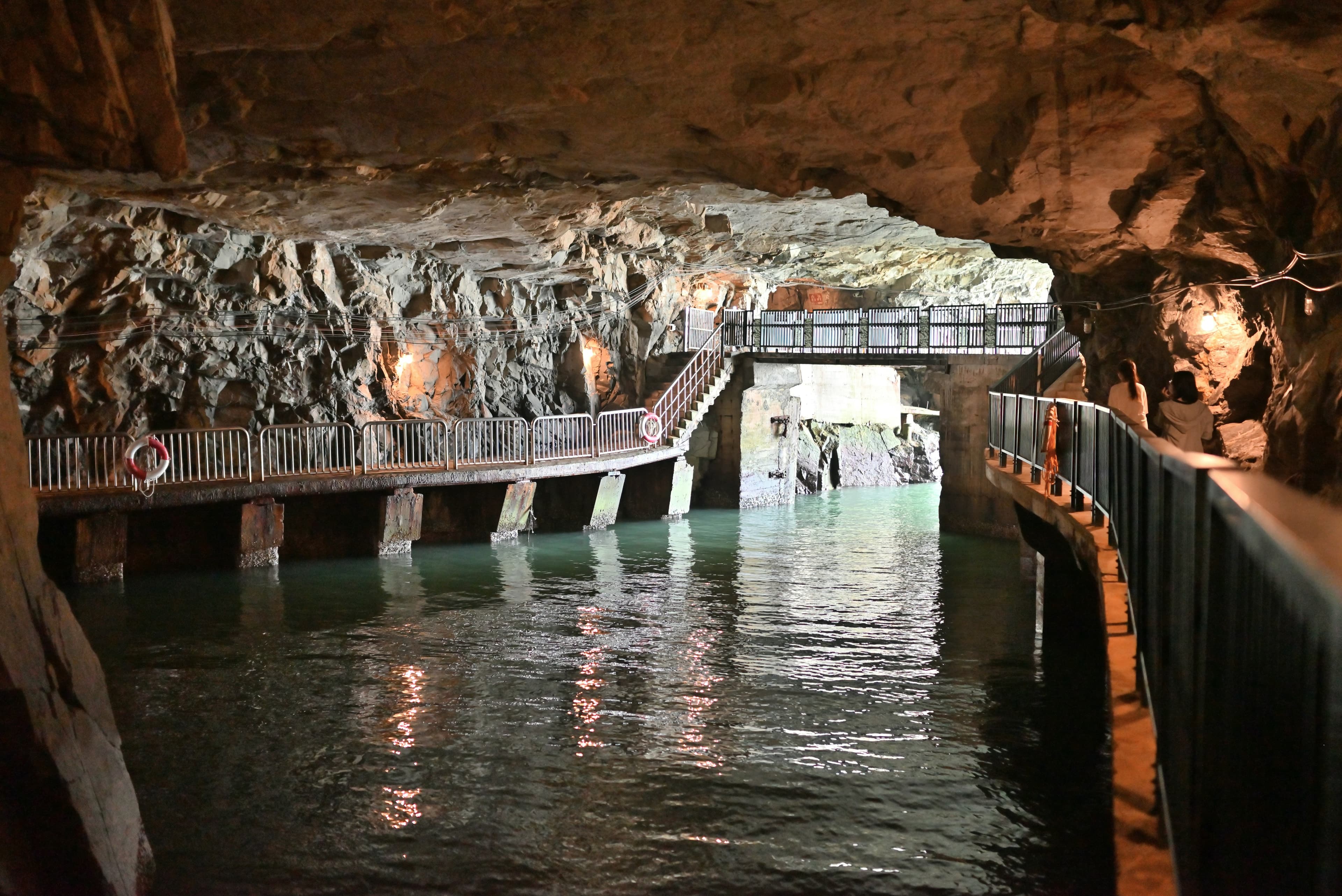 Hastings Cave / Tahuna Airwalk Day Tour
