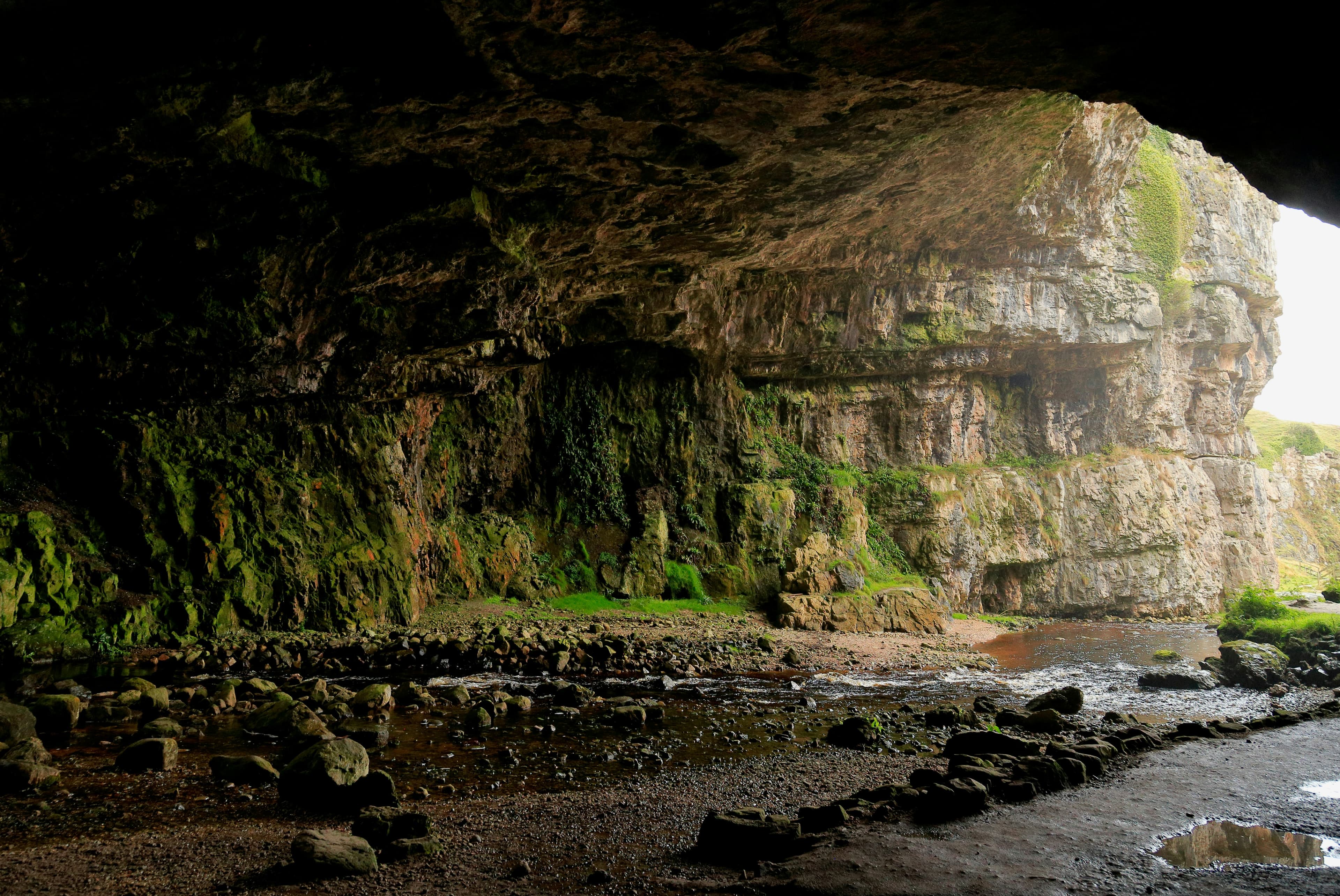 Hastings Cave / Tahuna Airwalk 2 Day Tour