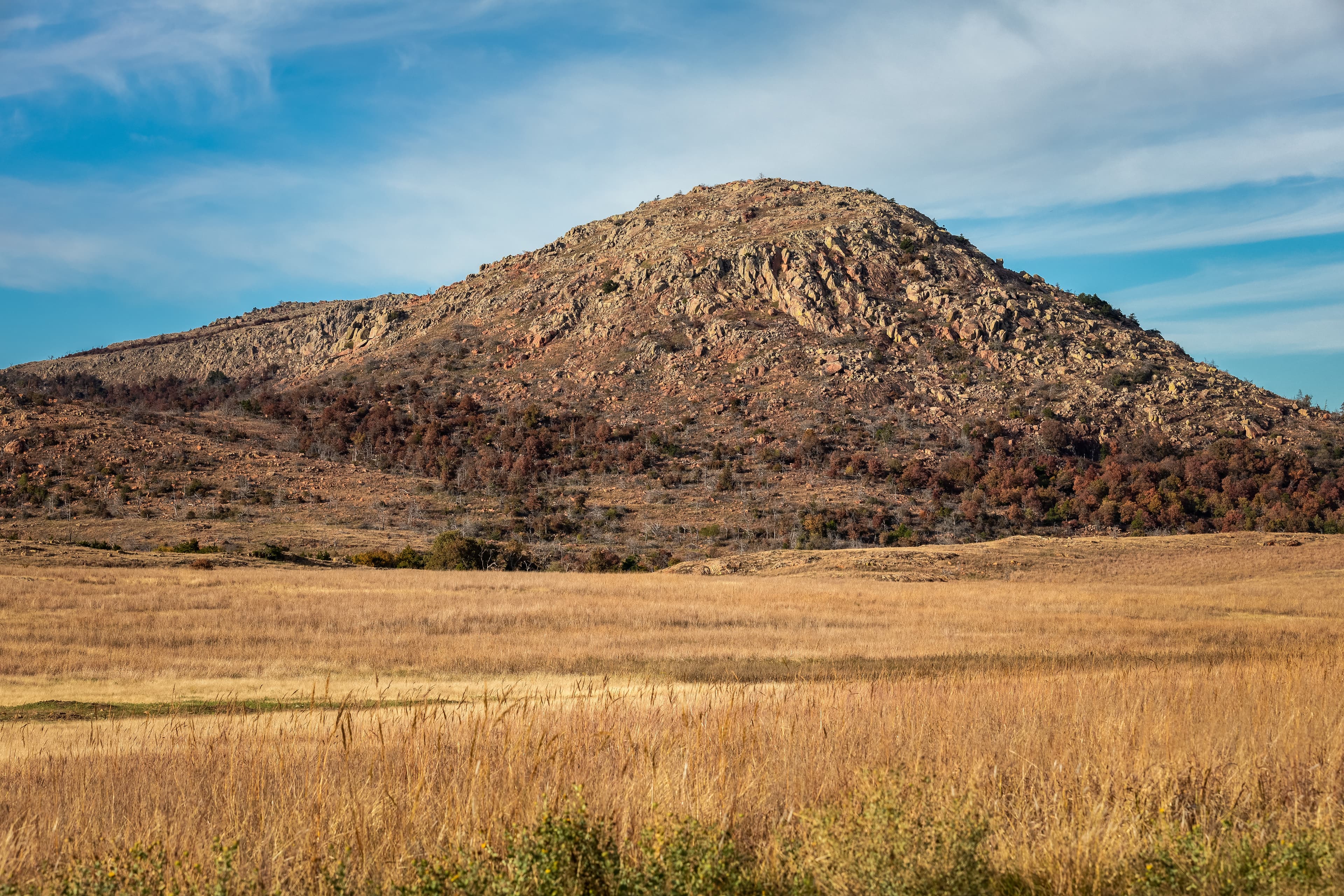Mount Field and Salmon Ponds