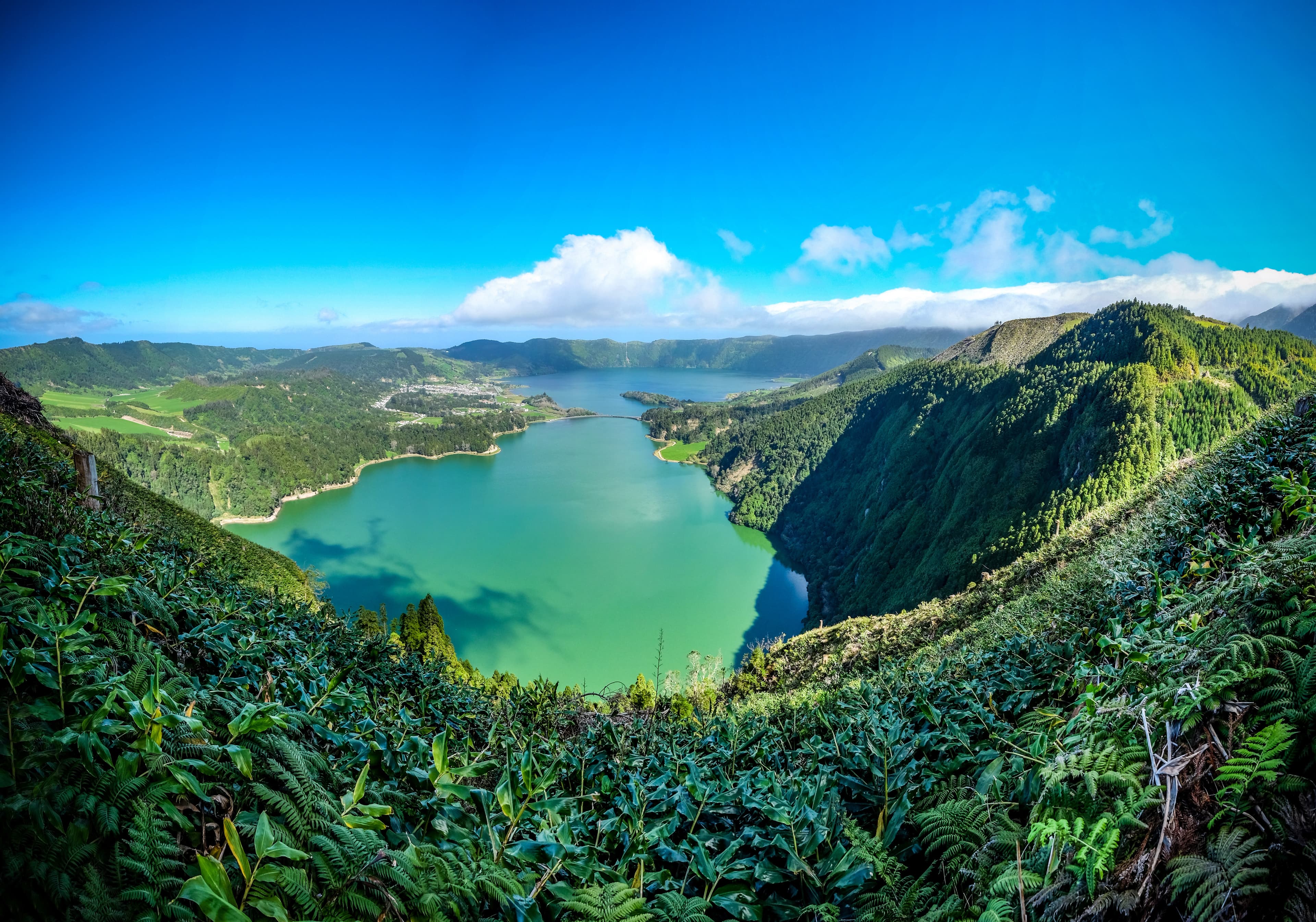 tasman tours