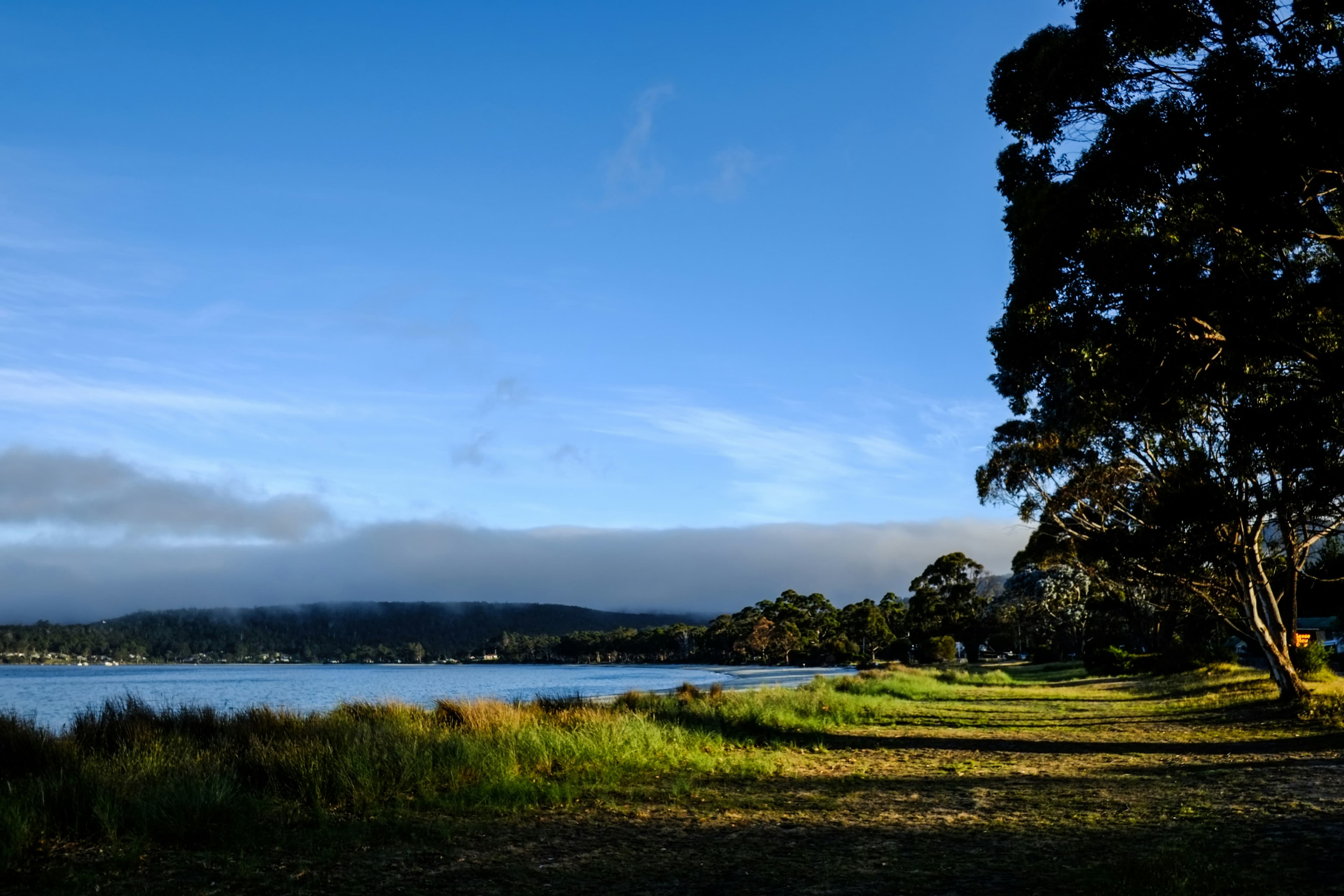 Tasman Tours