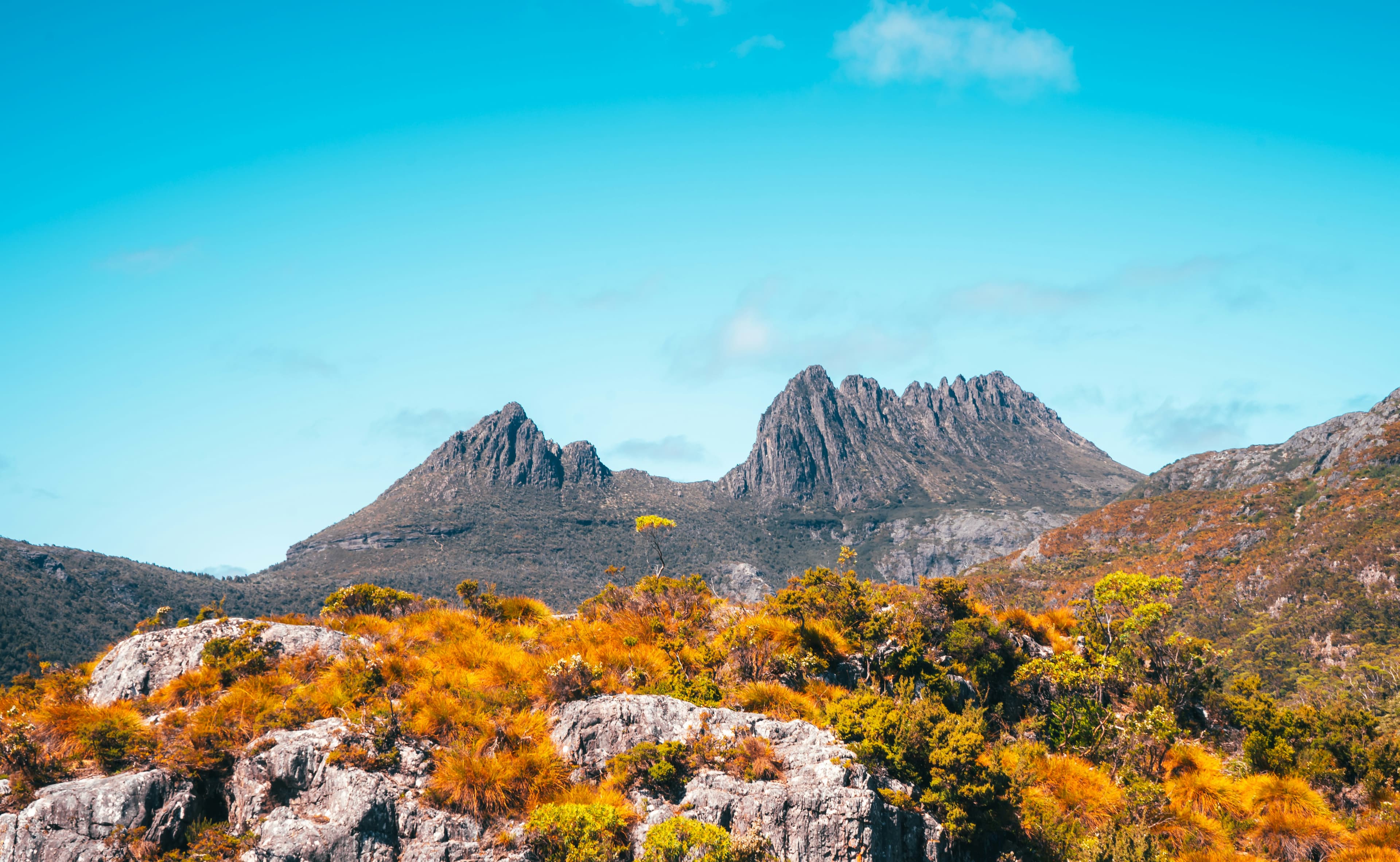 Tasman Tours