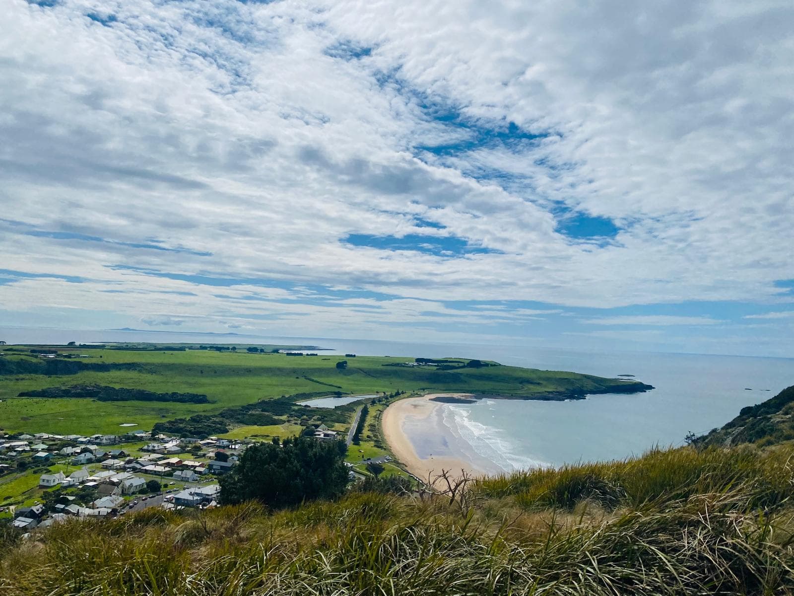 Tasman Tours