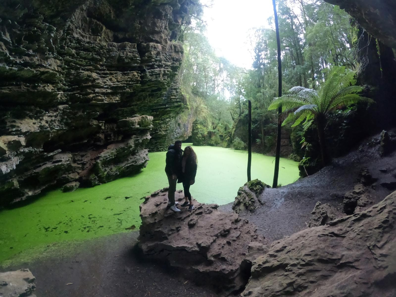 Tasman Tours