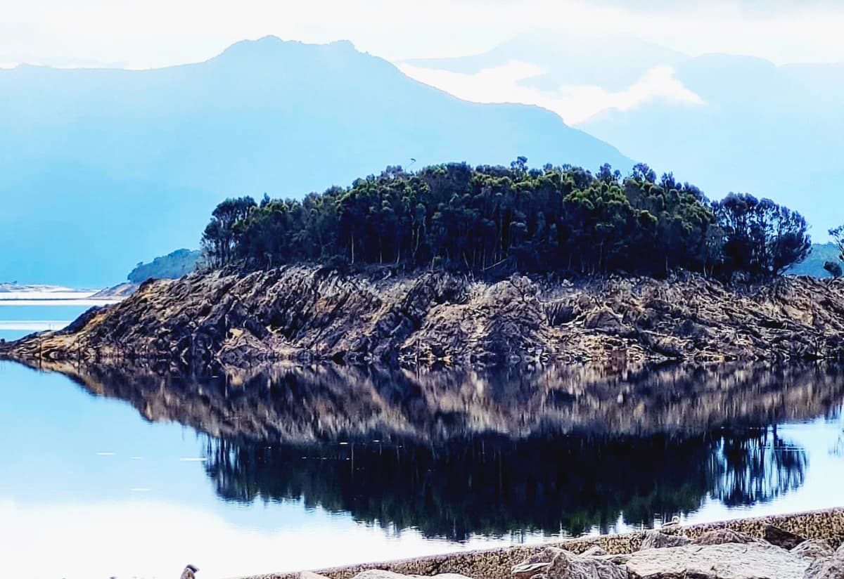 Tasman Tours