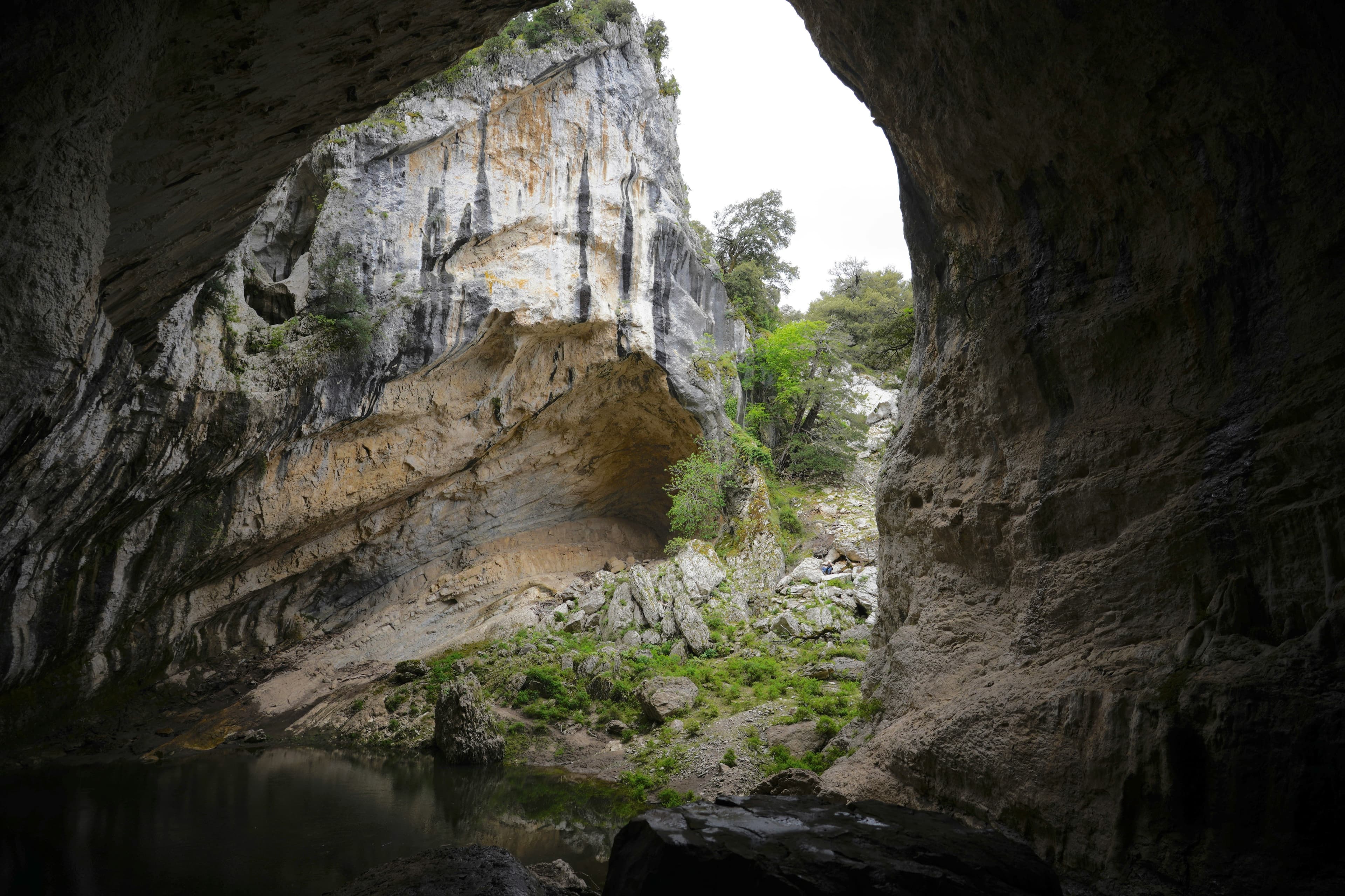 hastings cave 